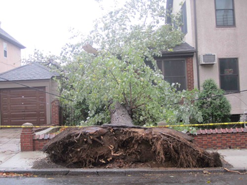 sandy1.jpg