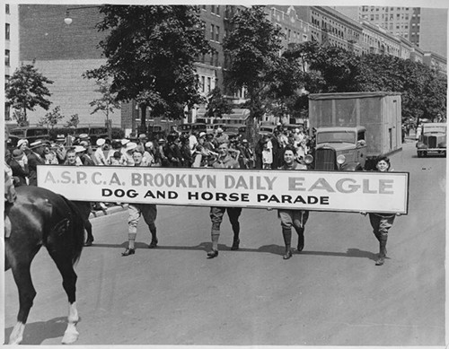 brooklyndogs.jpg