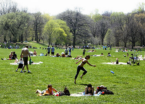 prospect_park.png