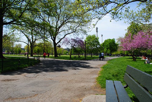 sunny-mccarren-park.jpg
