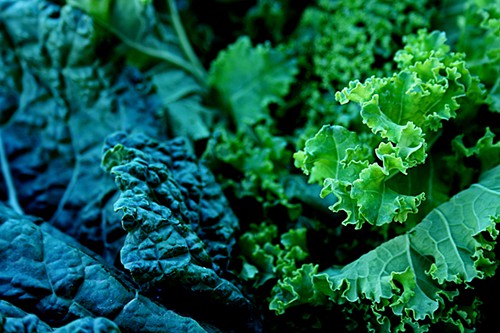 kale-by-denise.jpg