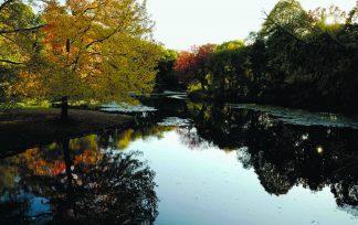 The Most Beautiful Photographs of Prospect Park You've Ever Seen