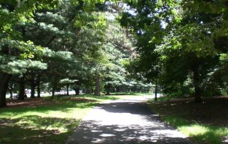 prospect park
