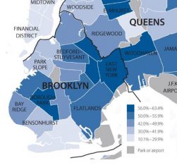 food_stamp_map_Brooklyn_ICPHusa NEW
