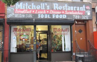 mitchells_lead