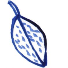 leaf7