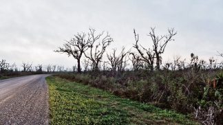 true detective setting louisiana cary fukunaga