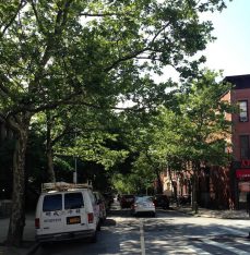 side-street-flatbush-downtown-brooklyn
