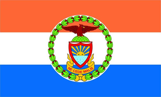 flags-of-nyc-boroughs-untapped-cities-daily-what-bronx