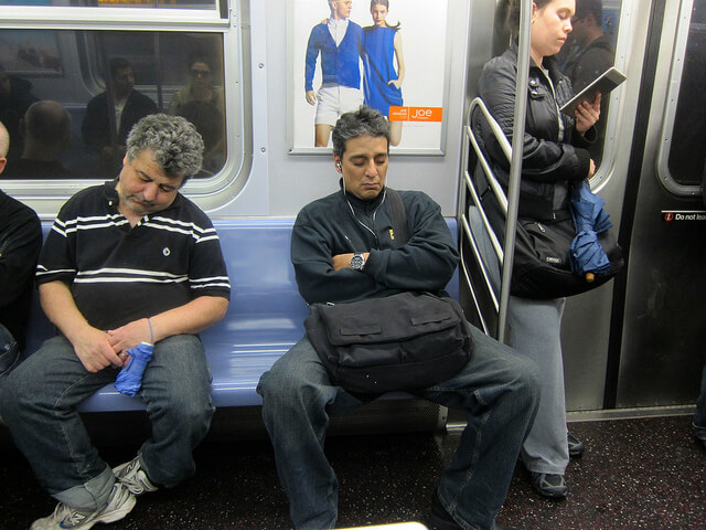 seat hogs