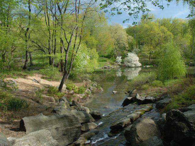 Central Park Now c/o Central Park Conservancy
