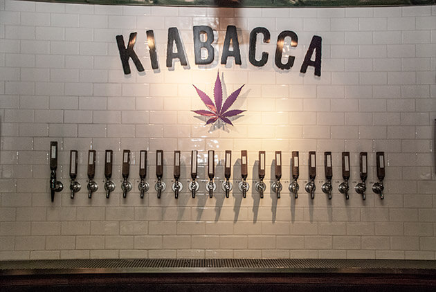 kiabacca8