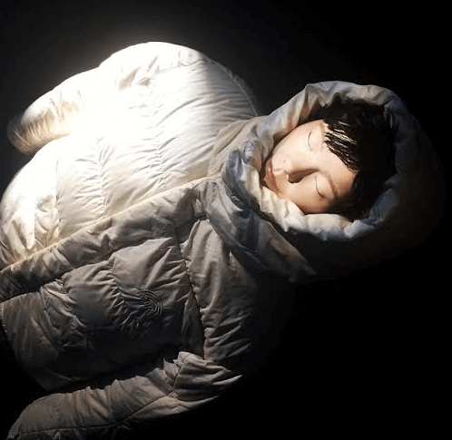Bjork