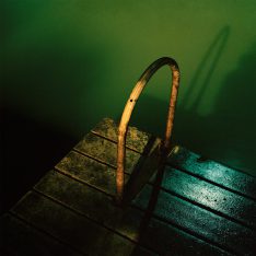Gowanus_Wild_'Moon_Dock'