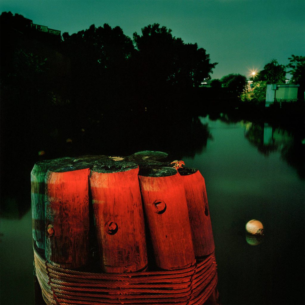 Gowanus_Wild_'Red_Piers'
