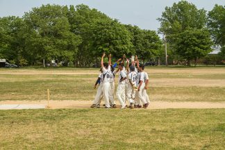cricket5