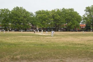cricket9