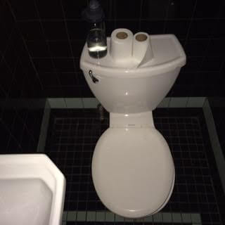 The toilet at the Narrows, which is about a foot and half from the door.