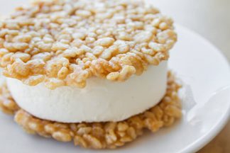 icecreamsandwichesmain
