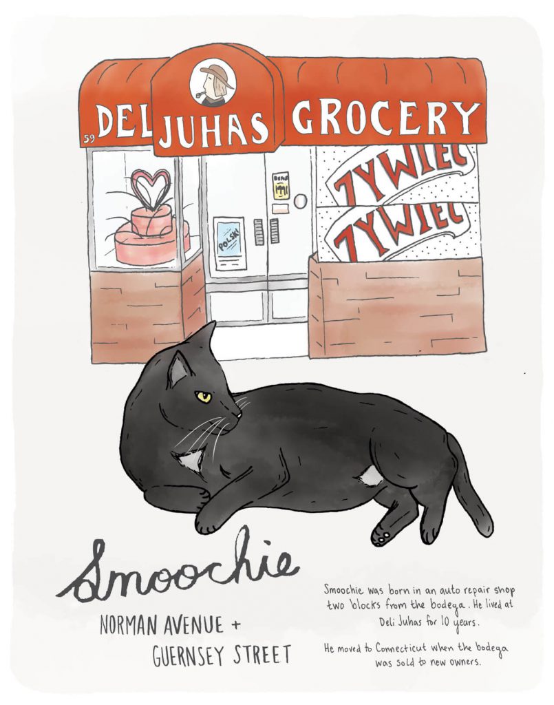 c/o Brooklynbodegacats.com