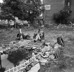 12-M_Morton_FD-Jimmy-fishpond-w