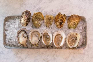 oysters101