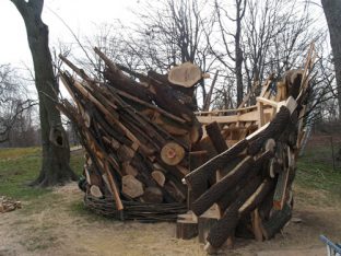 the_nest