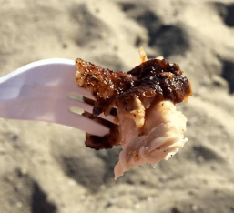 chicken on the beach