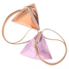 5 anna pouch