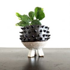 65 spike small planter