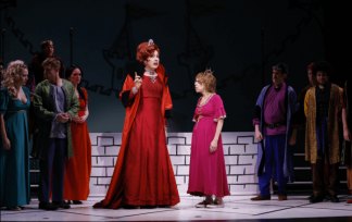 once upon a mattress