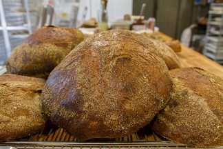 bkbreadlab1