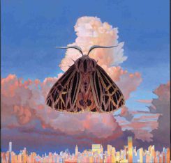 Chairlift Moth Album Of The Week