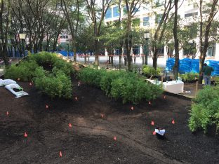 Lost Man Creek Installation — Spencer Finch
