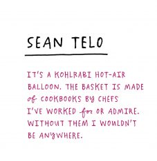 seantelo_text