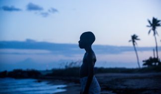 moonlight-barry-jenkins