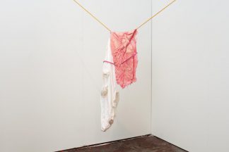 315 Gallery Dolphins